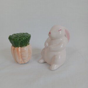 Easter Bunny & Carrot Salt and Pepper Shaker Set Ceramic Spring Decor